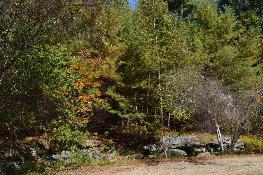 4 Sagamore RDG #Lot 4, Tuftonboro, NH 03816