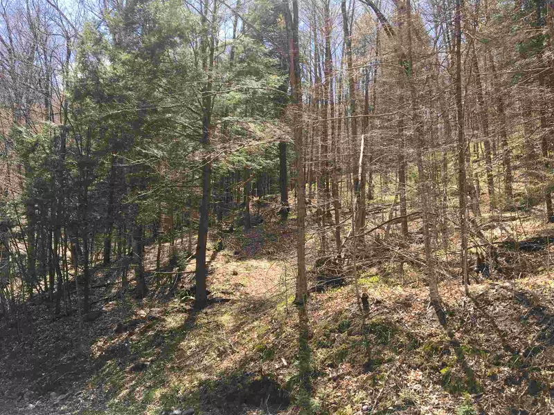 Lot J-6 & J-10 Westwind RD, Stockbridge, VT 05772