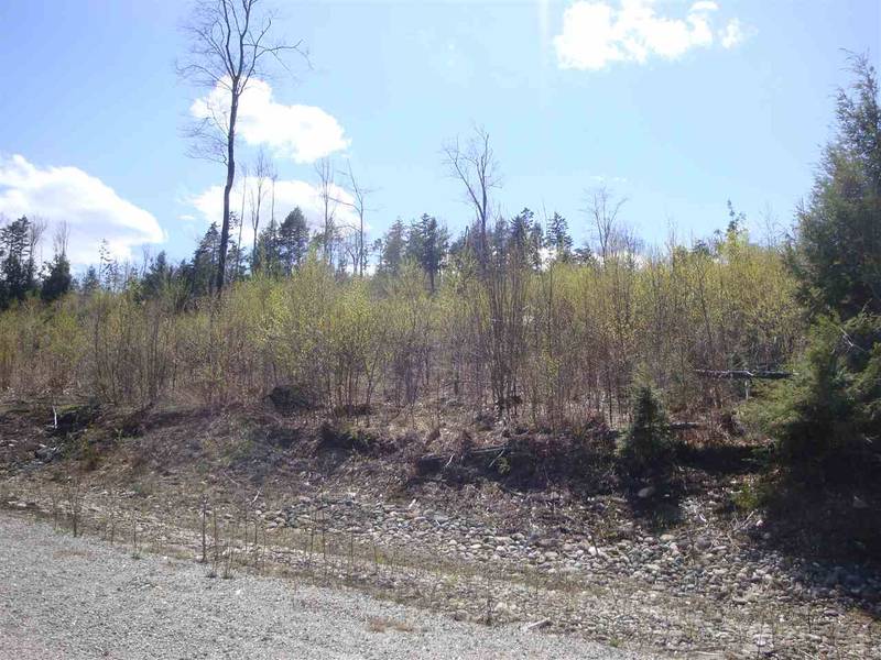 Lot 6 Old Fields RD, Groton, NH 03241