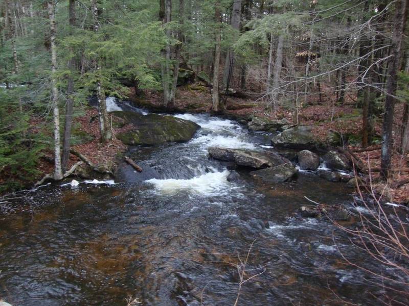 HOMINY POT RD #Lot 1, Sutton, NH 03260