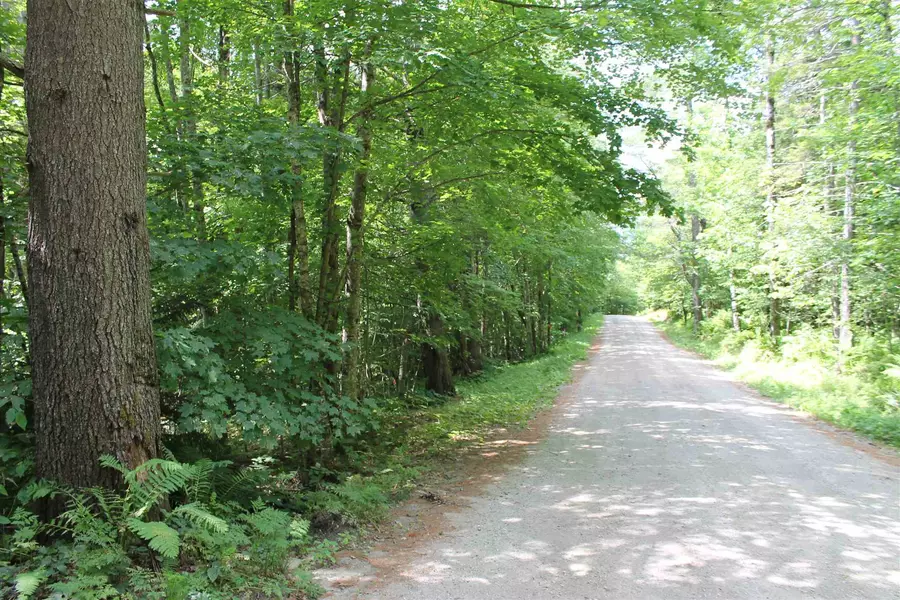 Lot 2 New Boston RD, Stockbridge, VT 05772