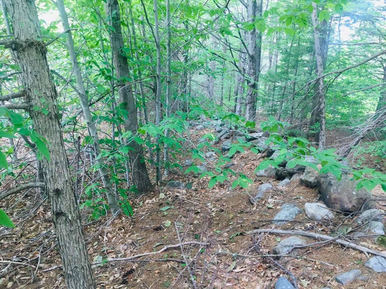 Salisbury, NH 03268,00 Old Turnpike RD