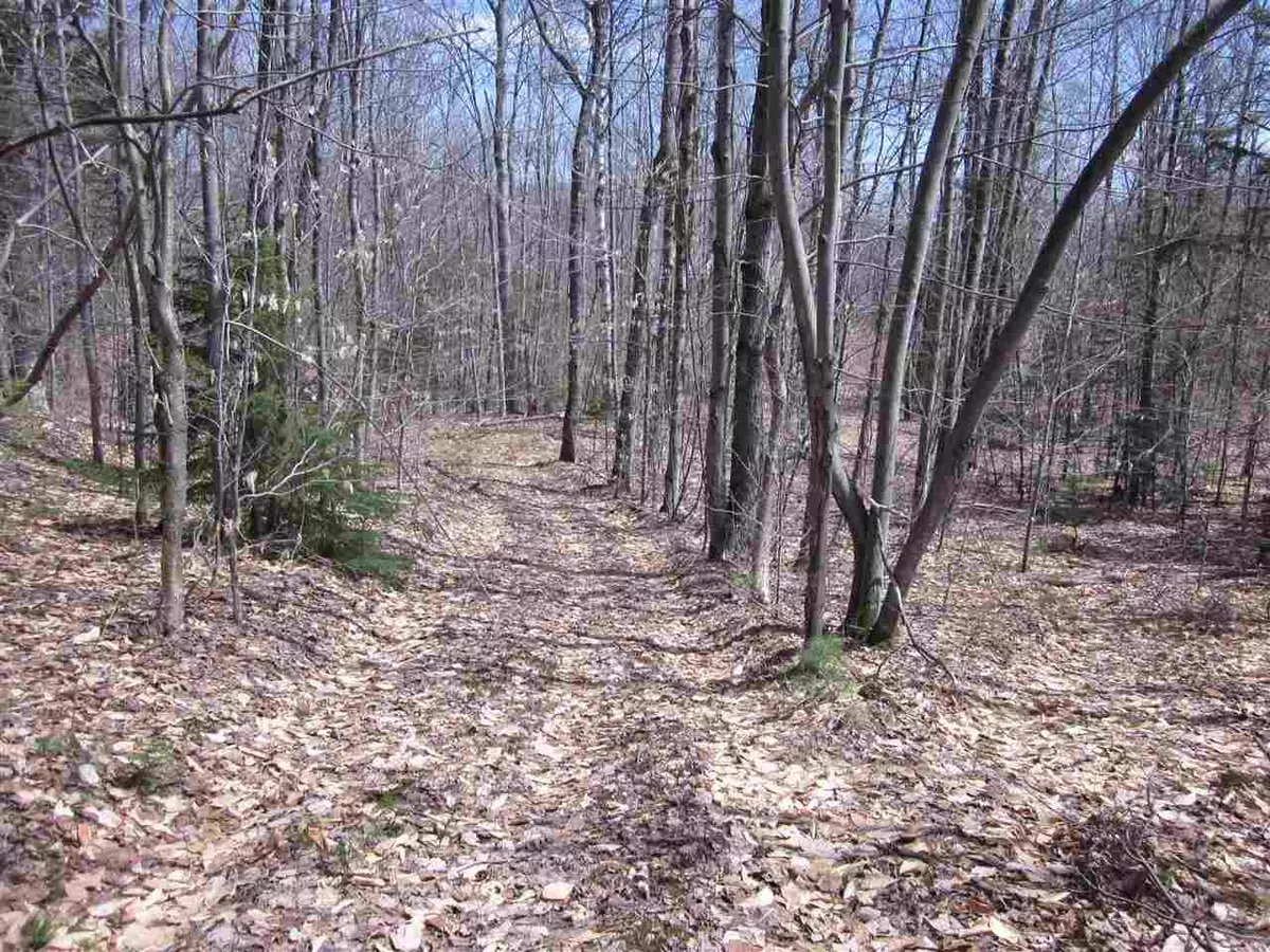 Andover, VT 05143,North Hill RD #Lot 3