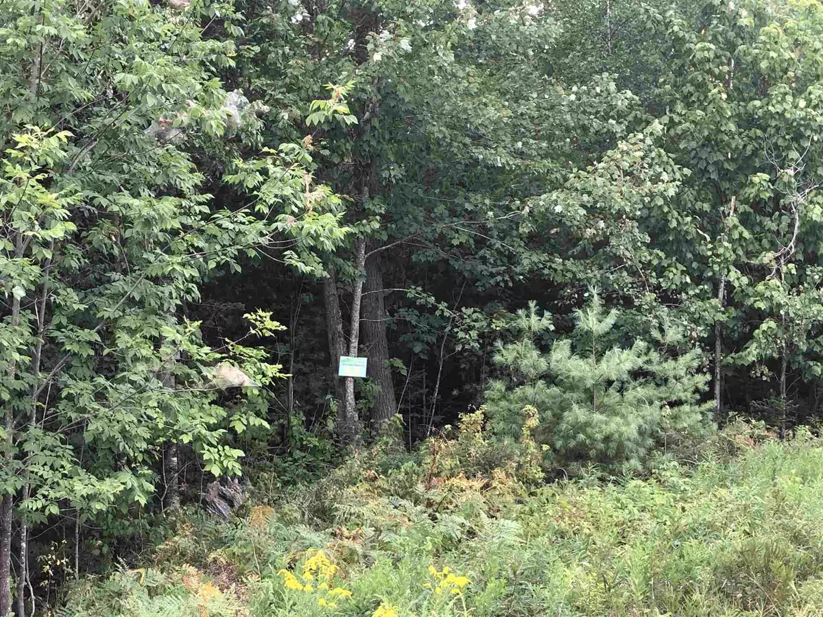 Tuftonboro, NH 03816,#55 Mountain Shadows RD #Lot 55