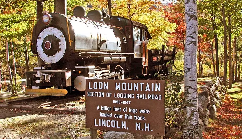 Lincoln, NH 03251,90 Loon Mountain RD #1310 D