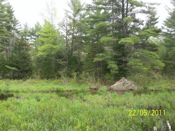 Effingham, NH 03882,0 Granite RD #106