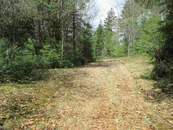 29.2 Moose RUN #29.2, Waterville Valley, NH 03215