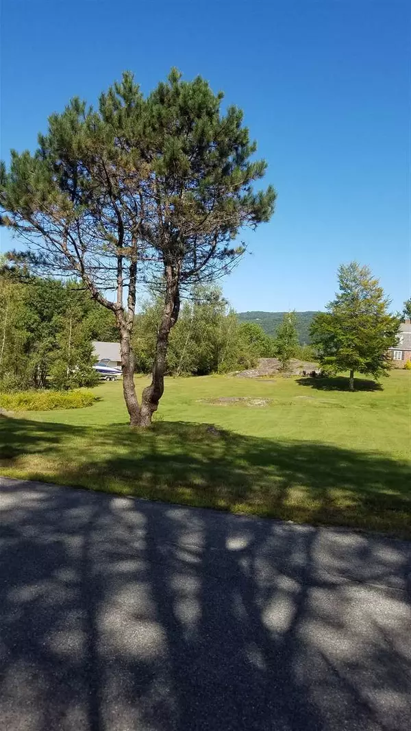 Bristol, NH 03222,00 Upper Birch DR #25