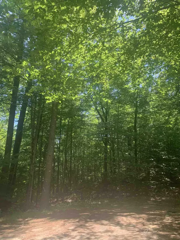 Moultonborough, NH 03254,Lot 5 Blackadar LN