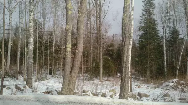 12 Birches RD #12, Sugar Hill, NH 03586