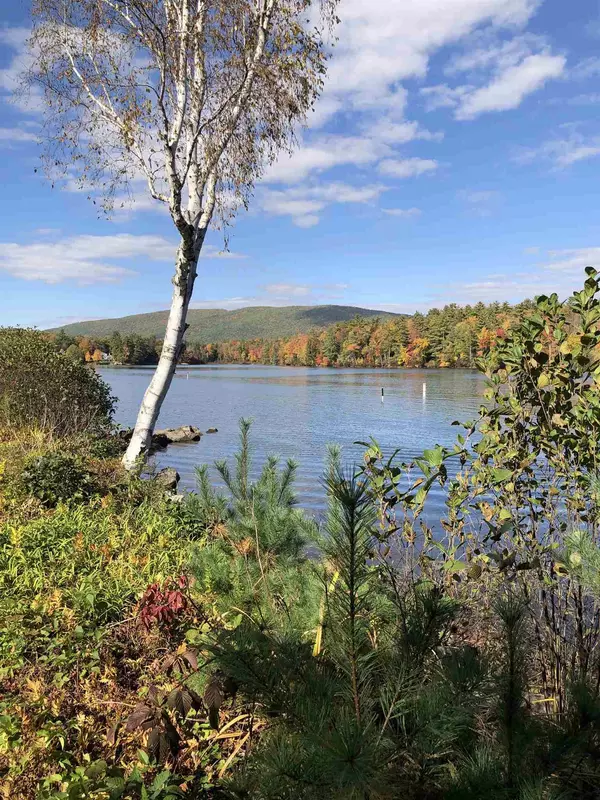 Moultonborough, NH 03254,19 Clearwater Point RD