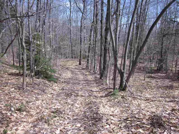 North Hill RD #Lot 3, Andover, VT 05143