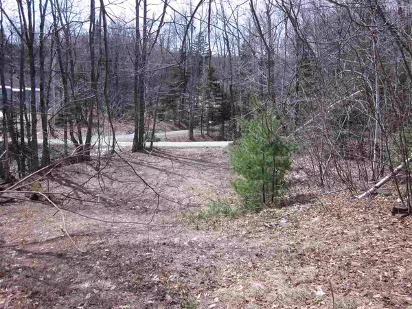 Andover, VT 05143,North Hill RD #Lot 3