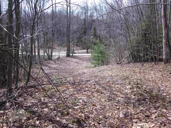 Andover, VT 05143,North Hill RD #Lot 3