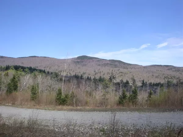 Lot 5 Old Fields RD, Groton, NH 03241