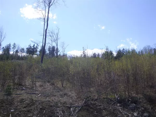 Groton, NH 03241,Lot 7 Old Fields RD