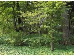 Dover, NH 03820,LOT 2 Boxwood LN #LOT 2