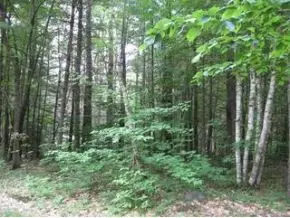 Dover, NH 03820,LOT 2 Boxwood LN #LOT 2