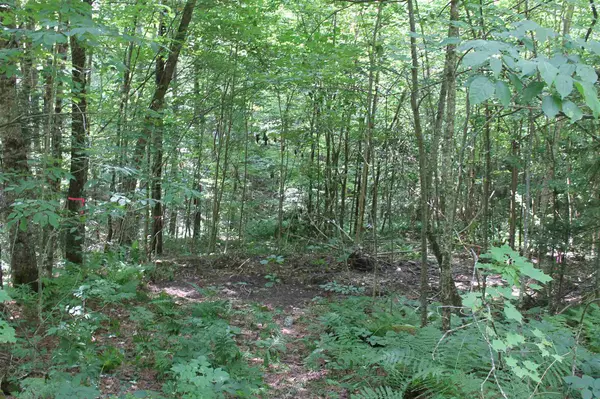 Stockbridge, VT 05772,Lot 2 New Boston RD