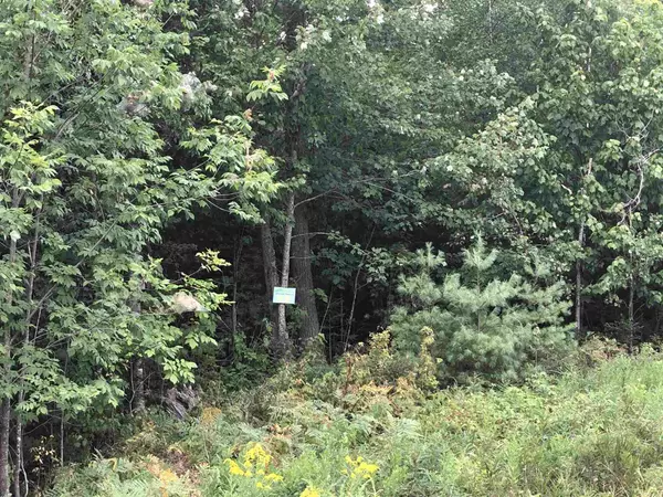 #55 Mountain Shadows RD #Lot 55, Tuftonboro, NH 03816