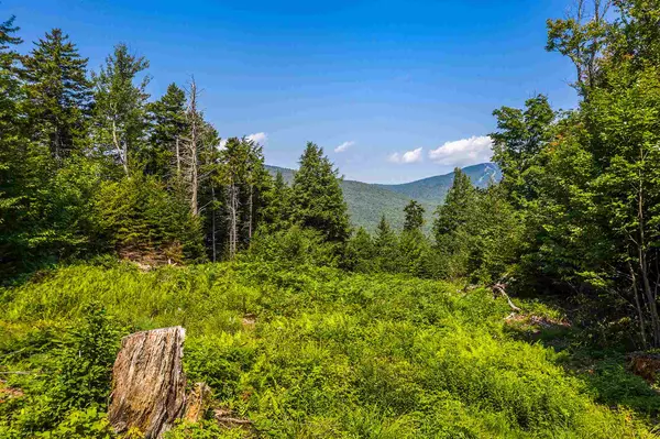 04 Turtle Hill RD #4, Ludlow, VT 05149