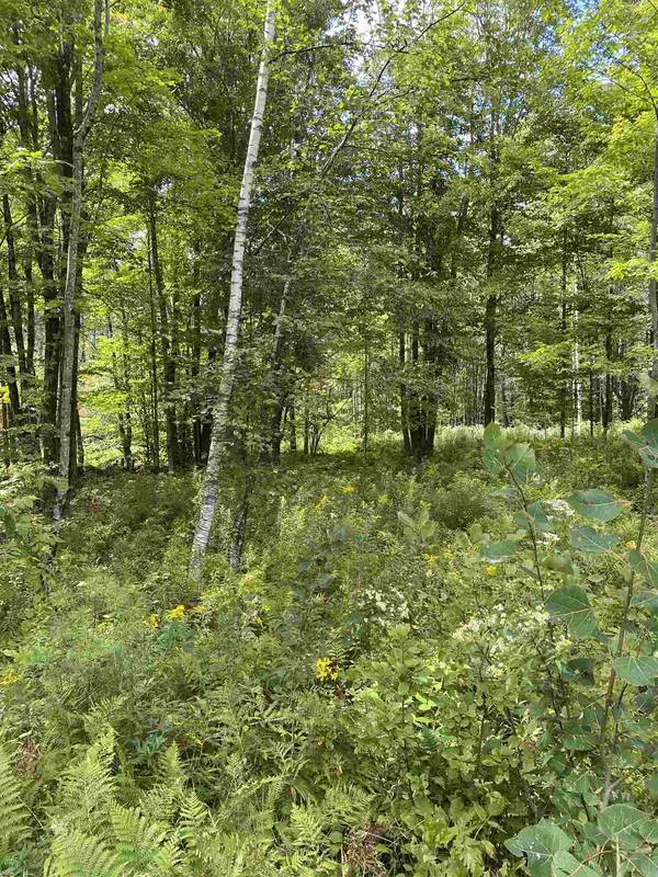 John Symonds , Lot 10 RD, Acworth, NH 03601