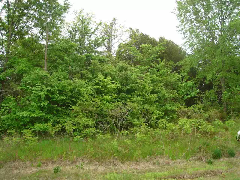 00 PRICE RD, Unincorporated, TN 38057