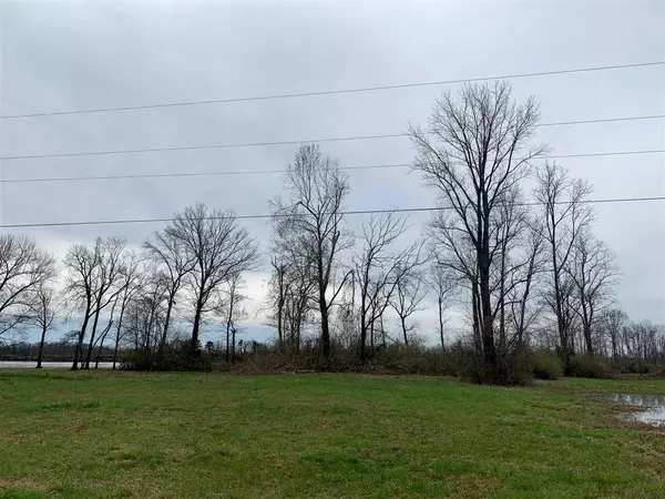 Savannah, TN 38372,LOT #14 CATFISH LN