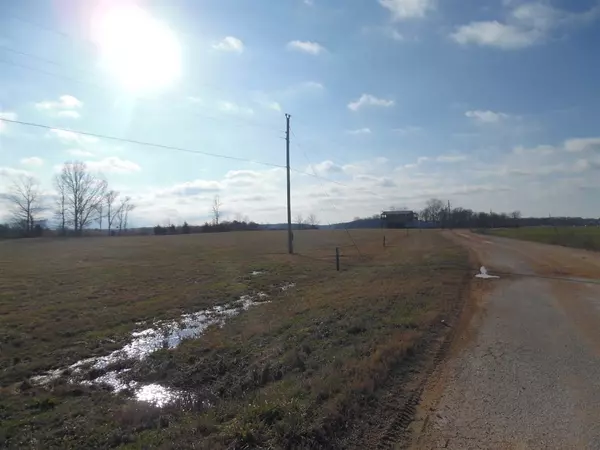 Savannah, TN 38372,LOT 51 CATFISH LN