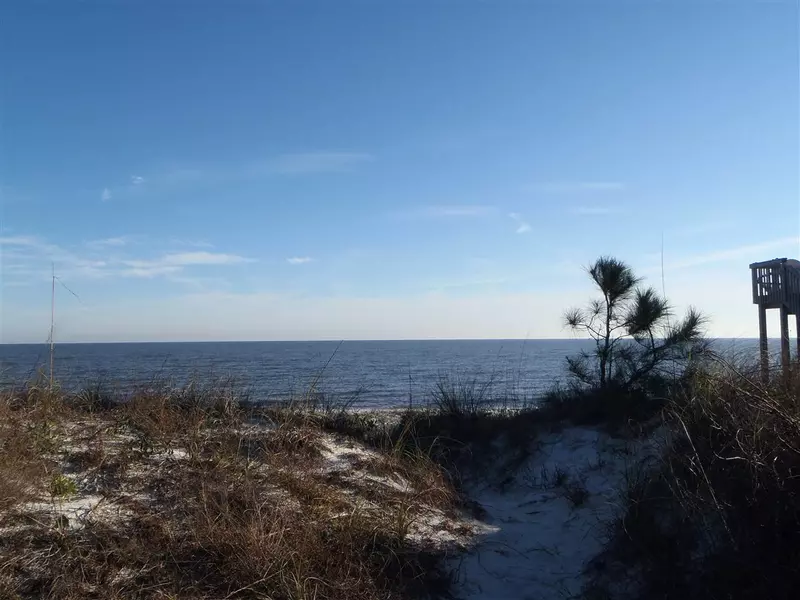 1237 Alligator Drive #0, Alligator Point, FL 32346