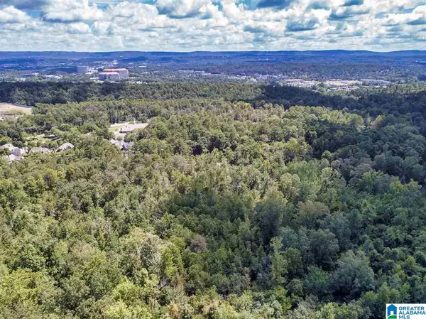 4553 DOLLY RIDGE RD #16, Vestavia Hills, AL 35243