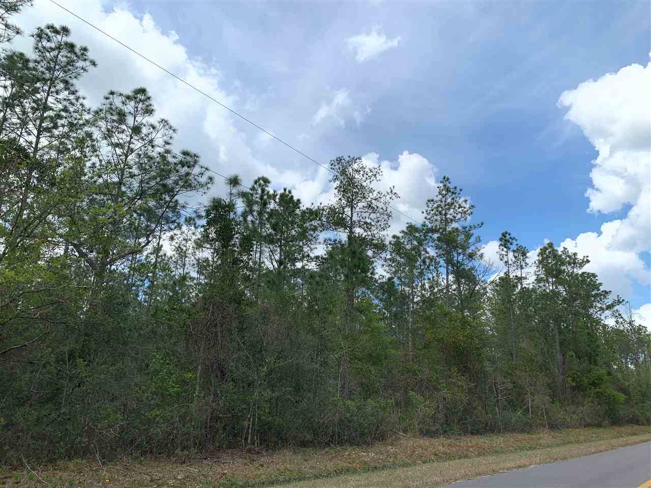 Hastings, FL 32145,4200 Guy Street