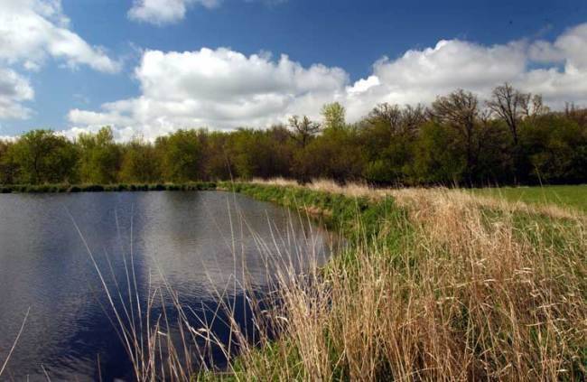 Deforest, WI 53532,L24 Bluestem Tr