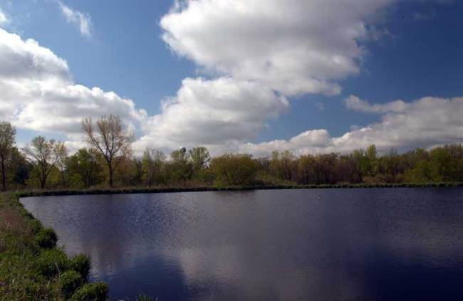 Deforest, WI 53532,L200 Autumn Blaze Tr