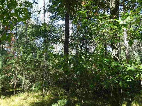 Lot 175 Timber Tr, New Lisbon, WI 53950