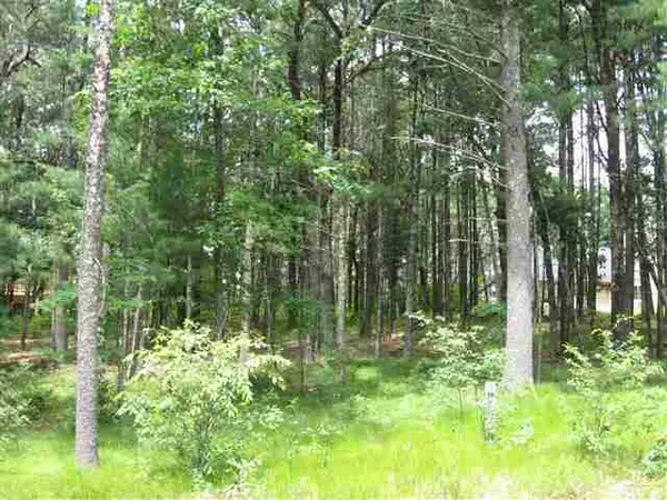 Arkdale, WI 54613,L26 Badger Ct