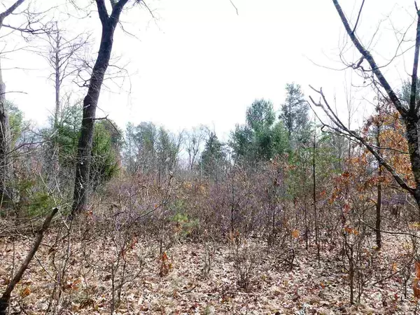 Grand Marsh, WI 53936,Lot 28 11th Ct