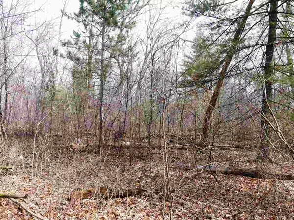 Grand Marsh, WI 53936,Lot 28 11th Ct