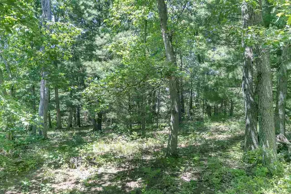 Reedsburg, WI 53959,Lot 13 Park Lane Cir