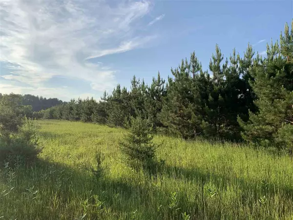 Rhinelander, WI 54501,Lot 18 Bunting Ln