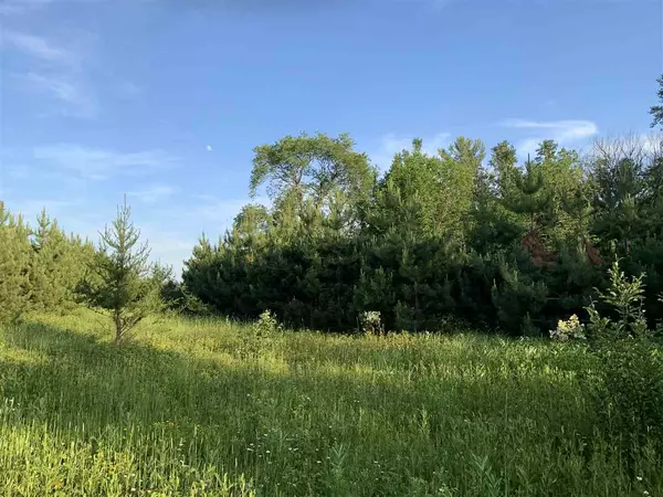 Rhinelander, WI 54501,Lot 18 Bunting Ln