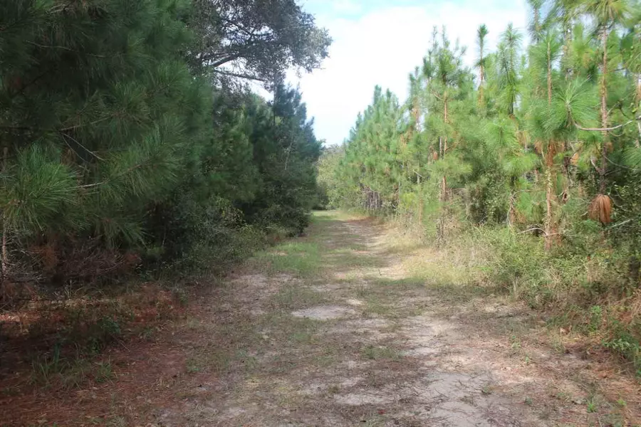 Vacant NW Elizabeth Sims Road #o, Madison County, FL 32340