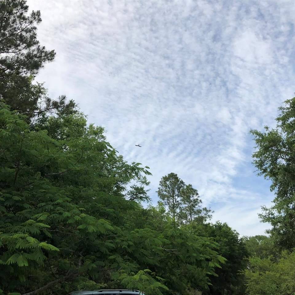 Lake Talquin, FL 32310,xx Collins Landing Road #2