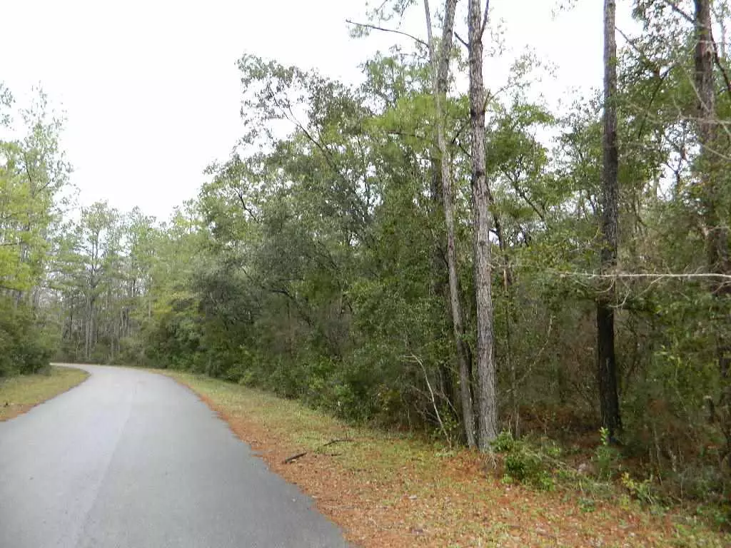 Sopchoppy, FL 32358,Lot 63-A CHEROKEE Drive #-