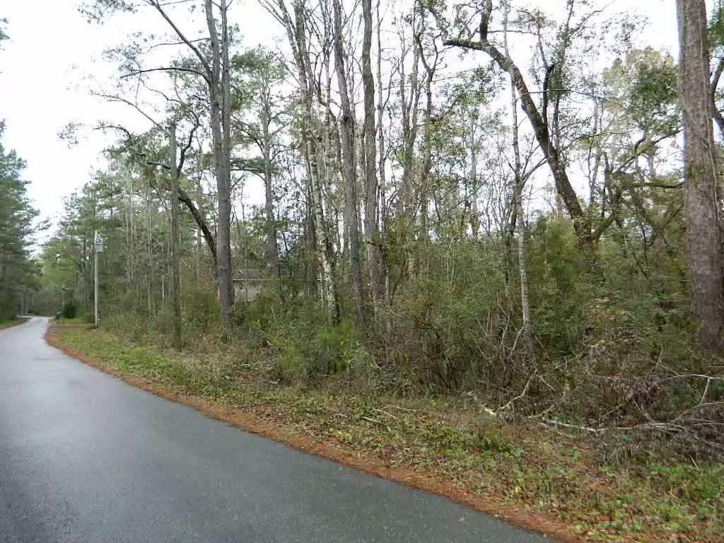 Sopchoppy, FL 32358,Lot Seminole Lane #-