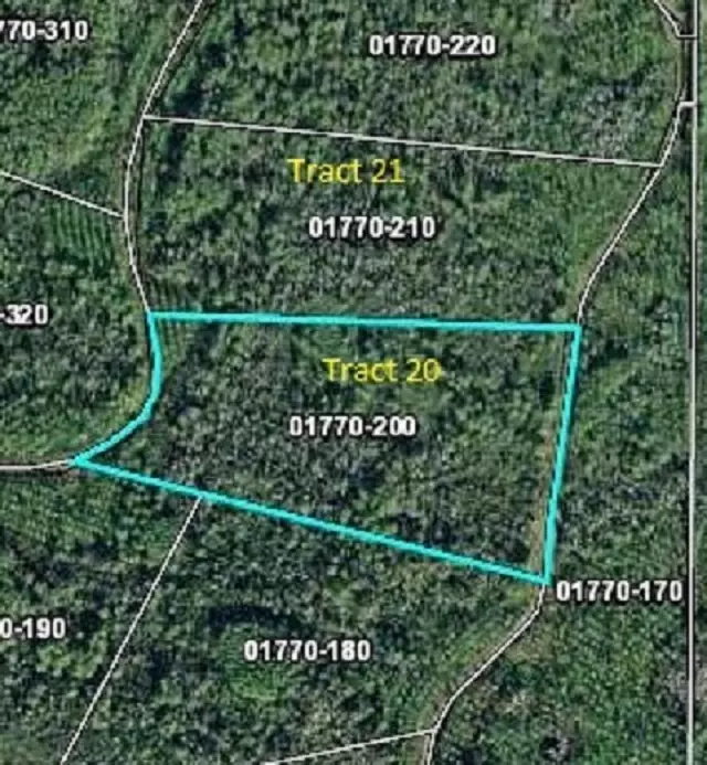 Perry, FL 32347,Tract 28 Wildcat Road #0