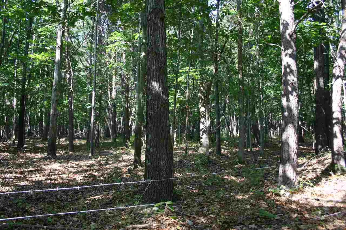 Lot 1B HORSEHEAD RD, Grottoes, VA 24441