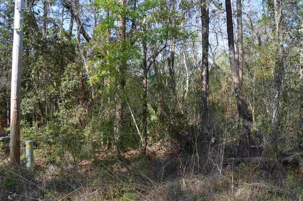 Sopchoppy, FL 32358,xxx Fonigan Road #-