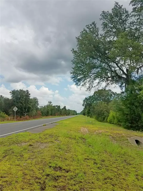 Mayo, FL 32066,Vacant N CR 53 #0