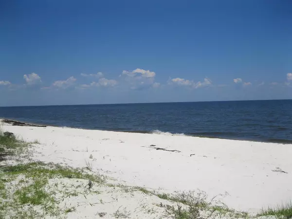 Alligator Point, FL 32346,13 Sailfish Street #-